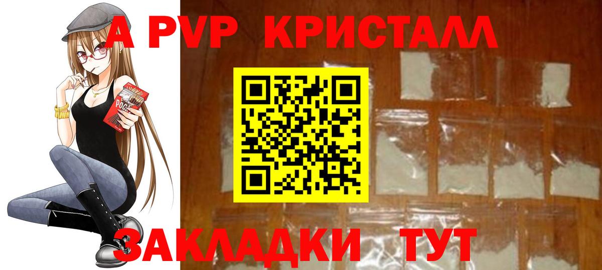 Alfa_PVP СК Темрюк