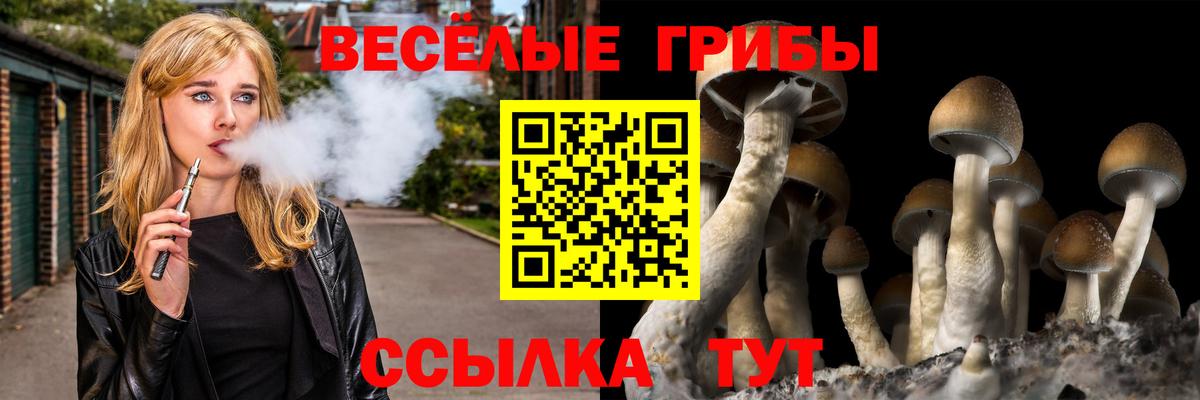 Галлюциногенные грибы ЛСД  Галлюциногенные грибы прущие грибы  Темрюк  Вход с VPN 