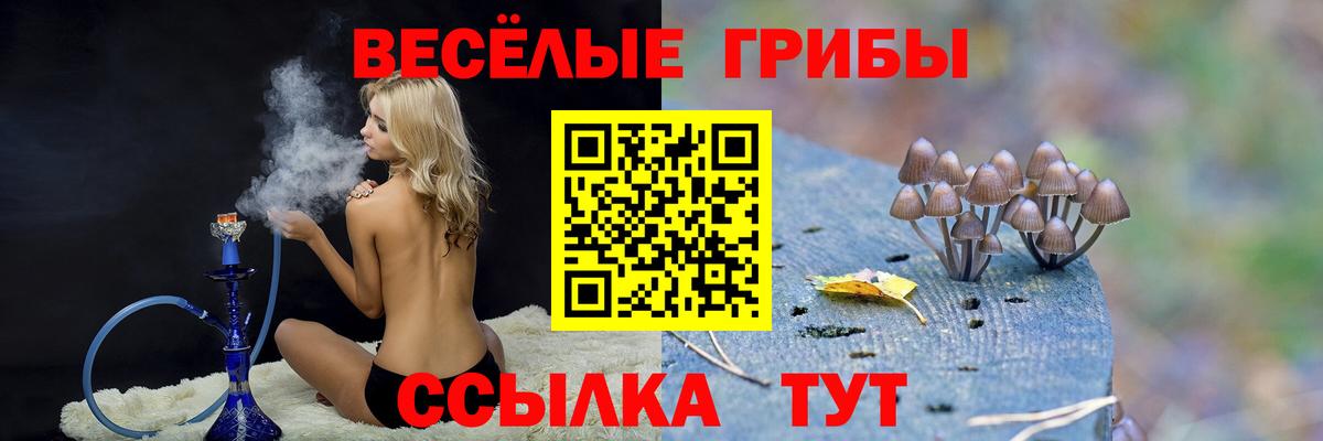 Псилоцибиновые грибы Cubensis Темрюк